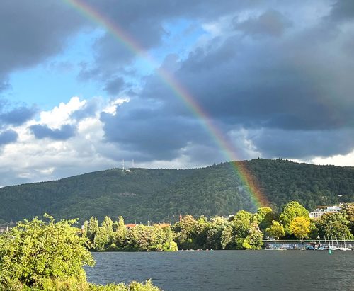 Regenbogen-Titel-Dr-Jung-Heidelberg