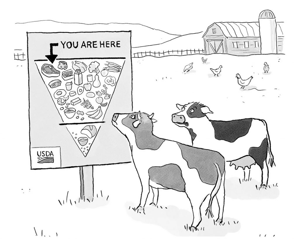 25-das-sieht-aber-gar-nicht-gut-aus