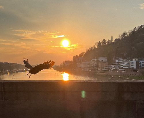 rundbrief-april-2026