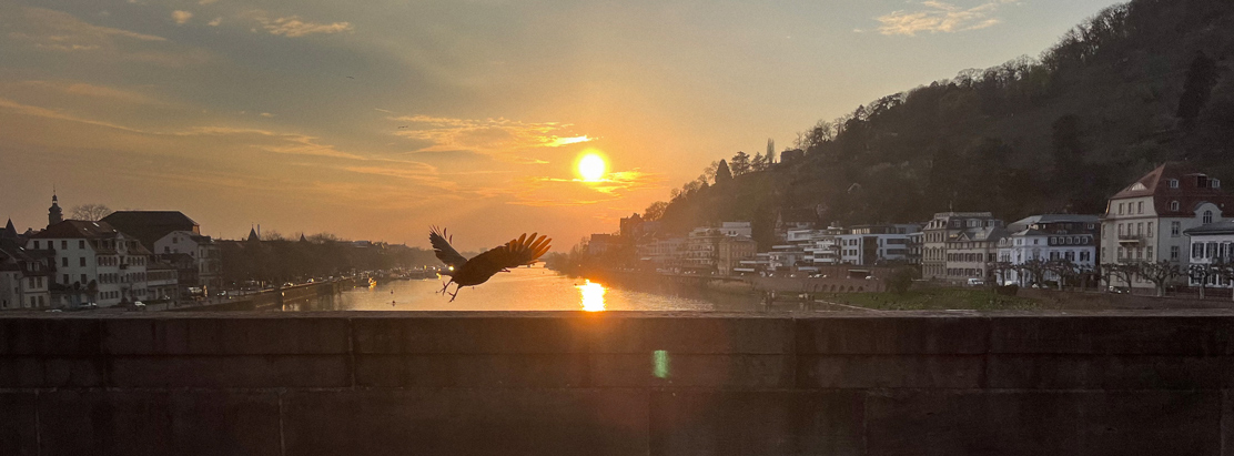 rundbrief-april-2026