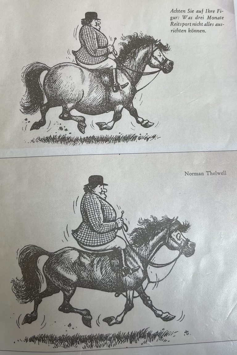 pferd