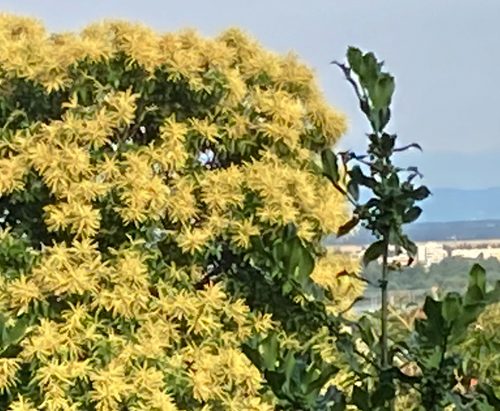 Titel-neu-fin
